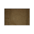 ammonite