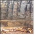 stratigrafia